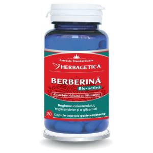 Berberină Bio-Activă – Suport natural pentru glicemie, metabolism și echilibru metabolic