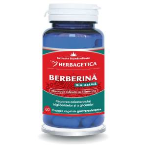 Berberină Bio-Activă – Suport natural pentru glicemie, metabolism și echilibru metabolic